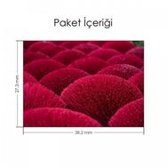 Artikel Fuşya Yuvarlak Çalılık Notebook Sticker