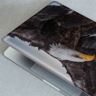 Artikel Kartal Notebook Sticker