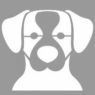Artikel ST-1104 Av Köpeği Stencil Tasarımı 30x30 cm Kanvas Tablo