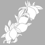 Artikel ST-1243 Lime Dal Motif Stencil Tasarımı 30x30 cm Kanvas Tablo