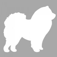Artikel ST-1362 Chow Stencil Tasarımı 30x30 cm Kanvas Tablo