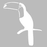 Artikel ST-535 Tukan Stencil Tasarımı 30x30 cm Kanvas Tablo