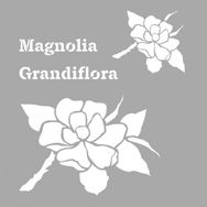 Artikel ST-565 Grandiflora Stencil Tasarımı 30x30 cm Kanvas Tablo