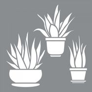 Artikel ST-616 Aloe Vera Stencil Tasarımı 30x30 cm Kanvas Tablo