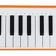 Arturia Microlab Turuncu 25 Tuş SlimKey Micro Keyboard
