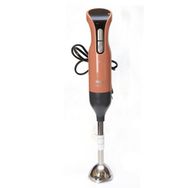Arzum AR1017-AG 1000 W Prostick Akşam Güneşi Çubuk El Blender