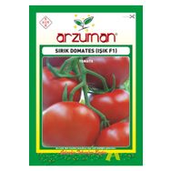 Arzuman 10 Adet Domates Işık (Sırık) Tohumu