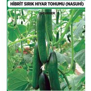 Arzuman 10 Adet Salatalık Nasuhi Hibrit Sırık Hıyar Tohumu