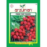 Arzuman 10 gr Fındık Turp Tohumu