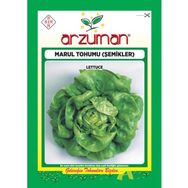 Arzuman 10 gr Şemikler Marul Tohumu