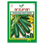Arzuman 10 gr Siyah Kabak Tohumu