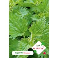 Arzuman 100 Adet Isırgan Çiçek Tohumu