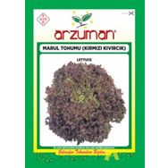 Arzuman 10gr Kıvırcık Marul Tohumu