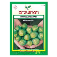 Arzuman 200 Adet Brüksel Lahanası Tohumu
