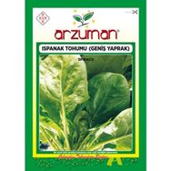 Arzuman 25 gr İthal Ispanak Tohumu