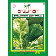 Arzuman 25 gr İthal Ispanak Tohumu