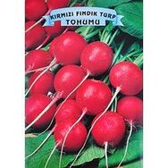 Arzuman 25gr Kırmızı Fındık Turp Tohumu