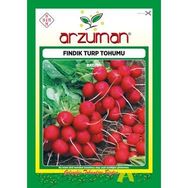 Arzuman 25gr Siyah Turp Tohumu