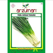 Arzuman 4x10 gr Yeşil Soğan Tohumu
