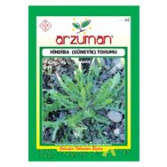 Arzuman 5 gr Radika Hindiba Güneyik Tohumu