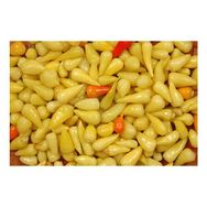 Arzuman Biberiye Biberi 5 gr Tohum
