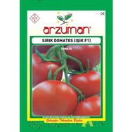 Arzuman Işık Sırık F1 Domates Tohumu