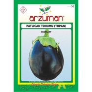 Arzuman Küçük Çiftlik 10 gr Top Patlıcan Tohumu