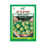 Arzuman Sebze Brüksel Lahana Tohumu