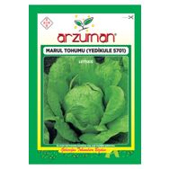 Arzuman Sebze Kışlık Marul Tohumu