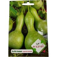 Arzuman Süs Bitki Su-Et Kabak Tohumu