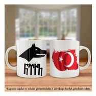 Asil Hediyelik Çift Yön Renkli Baskılı Göktürkçe Türk Bayrağı Kupa Bardak