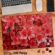 Asil Hobi Açelya Çiçeği-Pembe Çiçek-Bitki Yapboz-Ayak Destekli Çerçeveli 240 Parça Puzzle