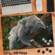 Asil Hobi Ağaçta Uyuyan Koala-Yapraklar-Hayvan Yapboz-Ayak Destekli Çerçeveli 240 Parça Puzzle
