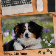Asil Hobi Avustralya Çoban Köpeği-Hayvan-Köpek Yapboz-Ayak Destekli Çerçeveli 240 Parça Puzzle