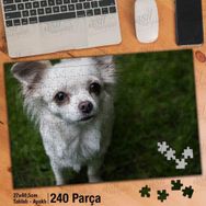 Asil Hobi Beyaz Tüylü Chihuahua-Cins Köpek-Çimen Yapboz-Ayak Destekli Çerçeveli 240 Parça Puzzle