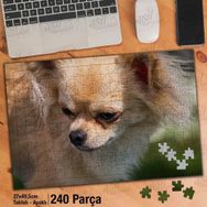Asil Hobi Chihuahua-Sarı Tüylü Köpek-Hayvan Yapboz-Ayak Destekli Çerçeveli 240 Parça Puzzle