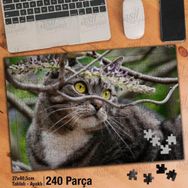 Asil Hobi Dalların Arasında Duran Kedi-Hayvan Yapboz-Ayak Destekli Çerçeveli 240 Parça Puzzle