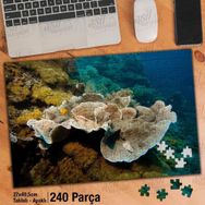 Asil Hobi Deniz-Okyanus-Manzara-Balıklar Yapboz-Ayak Destekli Çerçeveli 240 Parça Puzzle