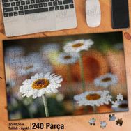Asil Hobi Doğa-Papatya-Çiçek-Bitki-Bahar Yapboz-Ayak Destekli Çerçeveli 240 Parça Puzzle