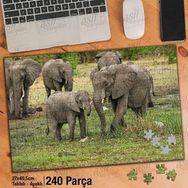 Asil Hobi Elephant-Fil Ailesi-Amazon-Orman Yapboz-Ayak Destekli Çerçeveli 240 Parça Puzzle