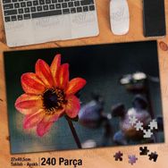 Asil Hobi Hoş Çiçek-Sarı Turuncu Dalya-Bahçe Yapboz-Ayak Destekli Çerçeveli 240 Parça Puzzle