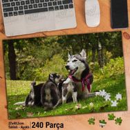 Asil Hobi Husky Ve Yavruları-Orman-Köpek-Doğa Yapboz-Ayak Destekli Çerçeveli 240 Parça Puzzle