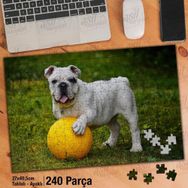 Asil Hobi İngiliz Bulldog-Köpek-Sarı Top Yapboz-Ayak Destekli Çerçeveli 240 Parça Puzzle