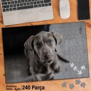 Asil Hobi Kahverengi Sevimli Köpek-Hayvan Yapboz-Ayak Destekli Çerçeveli 240 Parça Puzzle