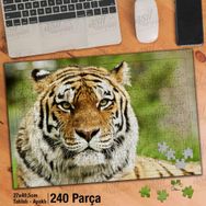 Asil Hobi Kaplan-Orman-Amazon-Hayvan Yapboz-Ayak Destekli Çerçeveli 240 Parça Puzzle