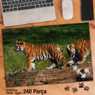 Asil Hobi Kaplan Yavruları-Doğa-Vahşi Hayvan Yapboz-Ayak Destekli Çerçeveli 240 Parça Puzzle