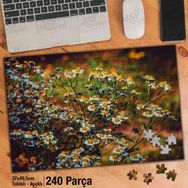 Asil Hobi Kır Papatyası-Peyzaj-Bitki-Çiçek Yapboz-Ayak Destekli Çerçeveli 240 Parça Puzzle