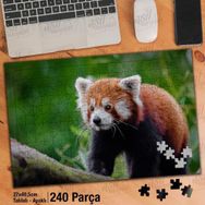 Asil Hobi Kırmızı Panda-Amazon-Doğa-Yeşil Ağaç Yapboz-Ayak Destekli Çerçeveli 240 Parça Puzzle