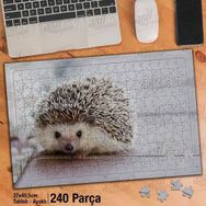Asil Hobi Kirpi-Hayvan-Sevimli Hayvan-Doğa Yapboz-Ayak Destekli Çerçeveli 240 Parça Puzzle
