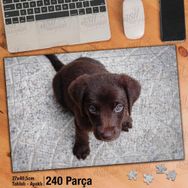 Asil Hobi Köpek Yavrusu-Labrador-Safkan Köpeği Yapboz-Ayak Destekli Çerçeveli 240 Parça Puzzle